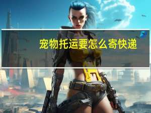 宠物托运要怎么寄快递