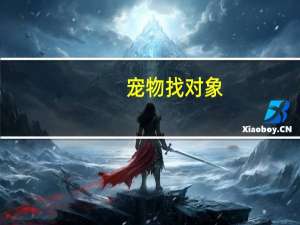 宠物找对象