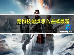 宠物技能点怎么去掉最新