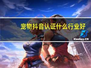 宠物抖音认证什么行业好