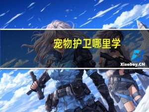 宠物护卫哪里学