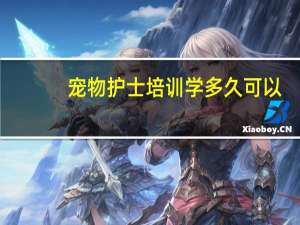 宠物护士培训学多久可以