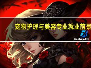 宠物护理与美容专业就业前景