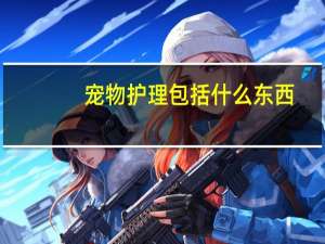 宠物护理包括什么东西