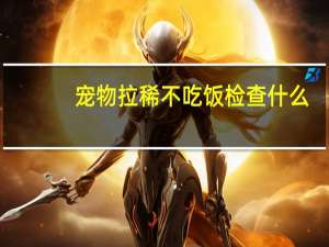 宠物拉稀不吃饭检查什么
