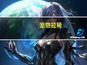 宠物拉稀