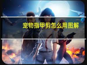 宠物指甲剪怎么用图解