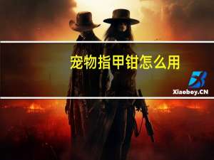 宠物指甲钳怎么用