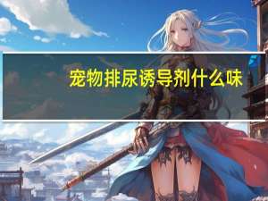 宠物排尿诱导剂什么味