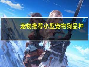 宠物推荐小型宠物狗品种