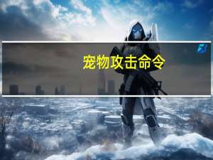 宠物攻击命令