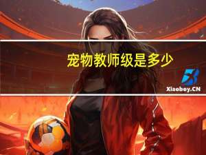 宠物教师级是多少