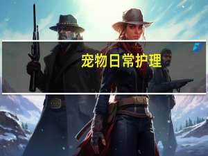 宠物日常护理