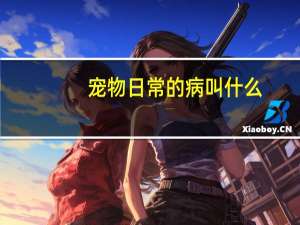 宠物日常的病叫什么
