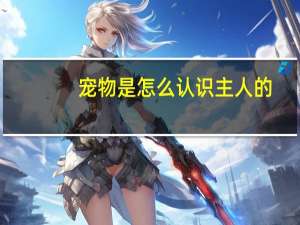 宠物是怎么认识主人的