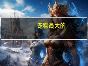 宠物最大的