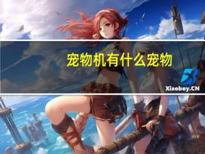 宠物机有什么宠物