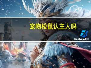 宠物松鼠认主人吗