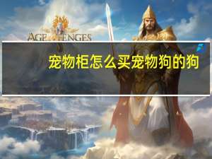 宠物柜怎么买宠物狗的狗