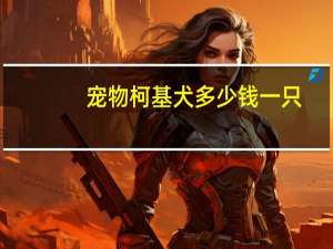 宠物柯基犬多少钱一只