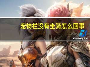 宠物栏没有坐骑怎么回事