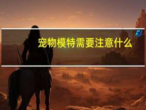 宠物模特需要注意什么
