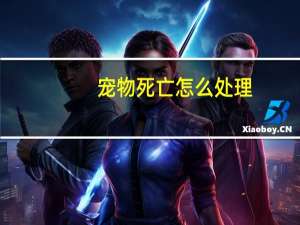 宠物死亡怎么处理