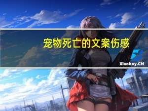 宠物死亡的文案伤感