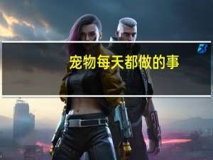 宠物每天都做的事