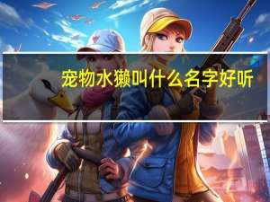 宠物水獭叫什么名字好听
