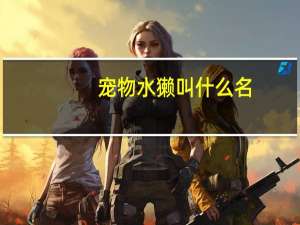 宠物水獭叫什么名