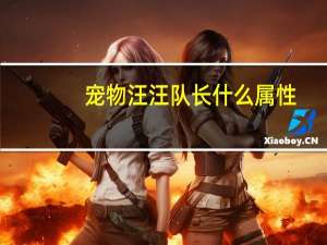 宠物汪汪队长什么属性
