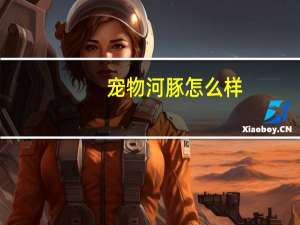 宠物河豚怎么样