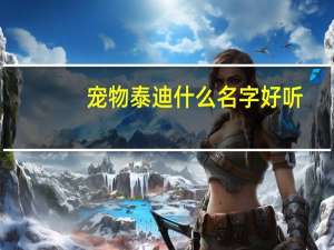 宠物泰迪什么名字好听