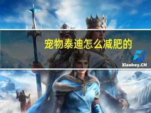 宠物泰迪怎么减肥的