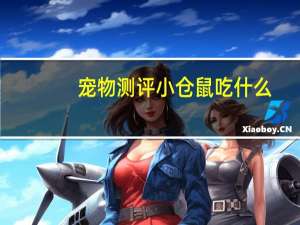 宠物测评小仓鼠吃什么