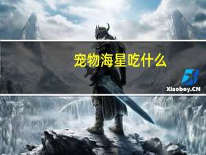 宠物海星吃什么