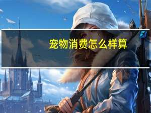 宠物消费怎么样算