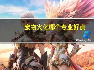 宠物火化哪个专业好点