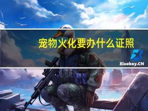 宠物火化要办什么证照