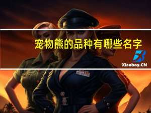 宠物熊的品种有哪些名字