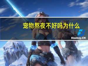 宠物熬夜不好吗为什么