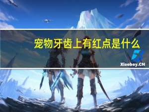 宠物牙齿上有红点是什么