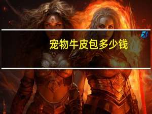 宠物牛皮包多少钱