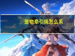 宠物牵引绳怎么系