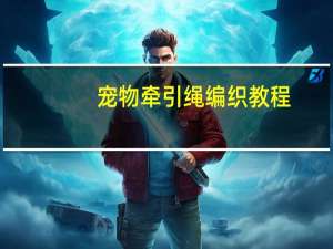 宠物牵引绳编织教程