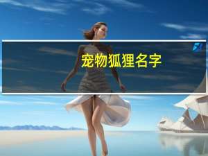 宠物狐狸名字