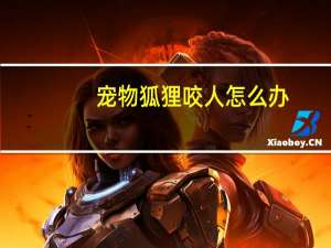 宠物狐狸咬人怎么办