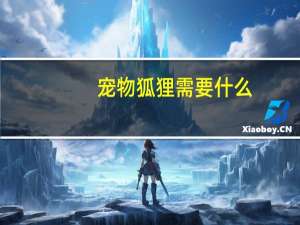 宠物狐狸需要什么