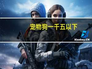 宠物狗一千五以下